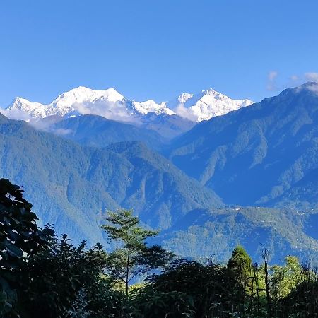 بيت شباب Wake In Himalayas بيلينغ المظهر الخارجي الصورة