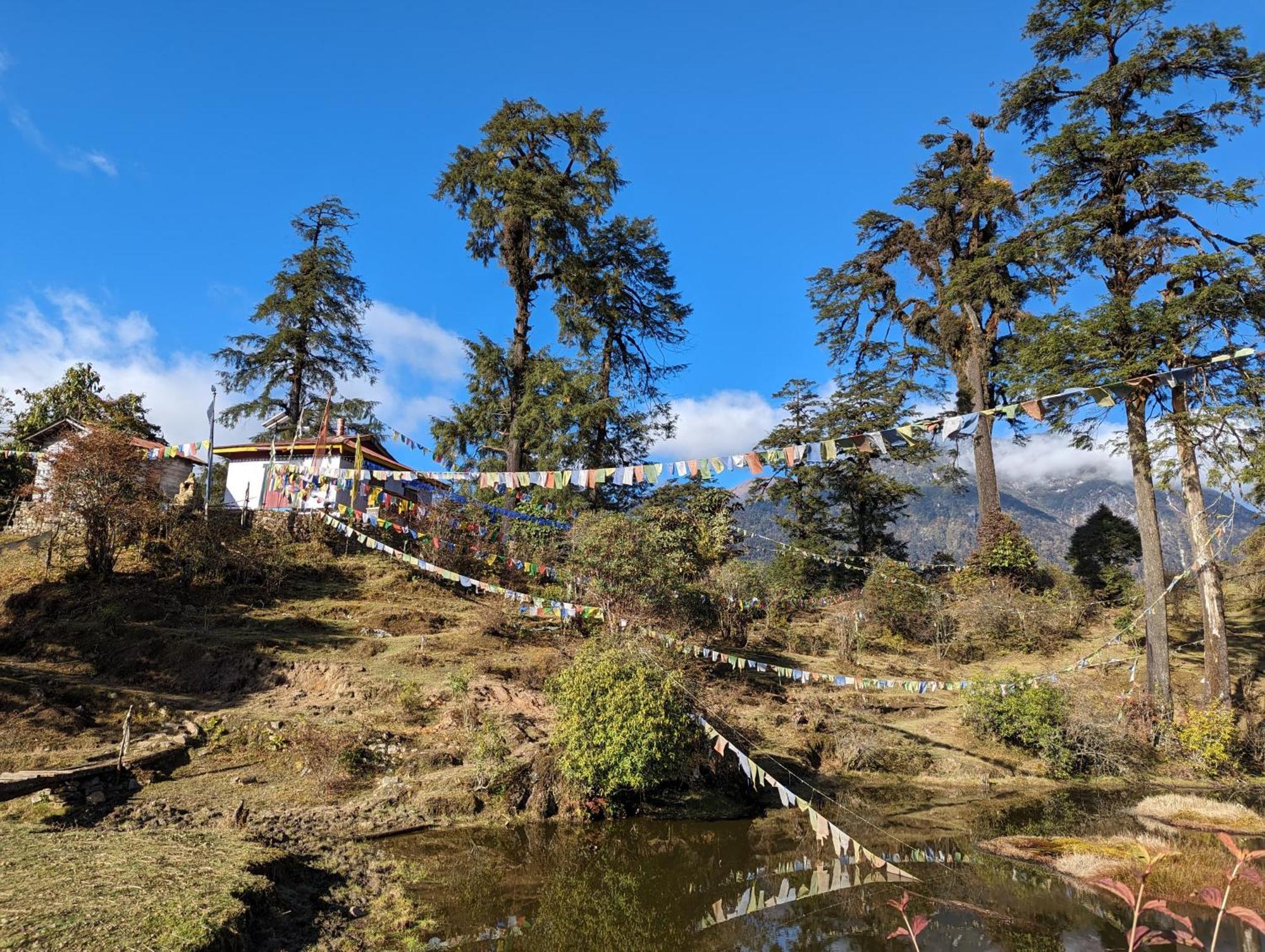 بيت شباب Wake In Himalayas بيلينغ المظهر الخارجي الصورة